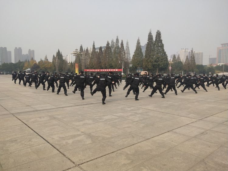 1573112032104537.jpg 7.jpg