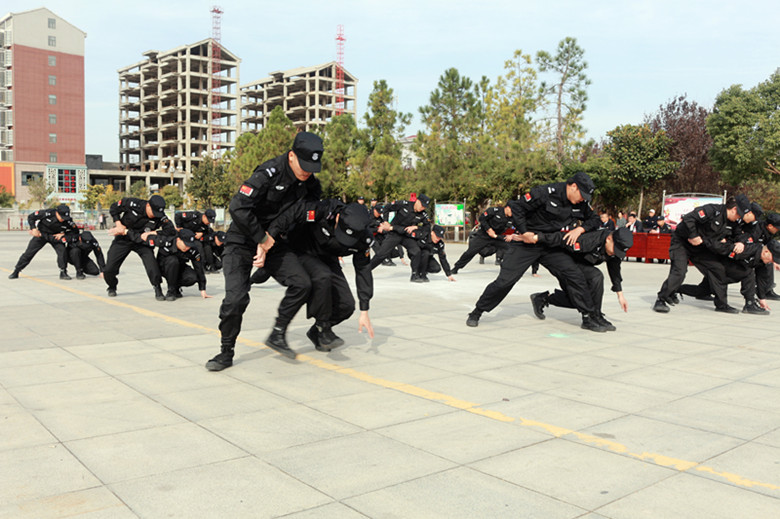 1574139452744991.jpg 22 (3)_.jpg