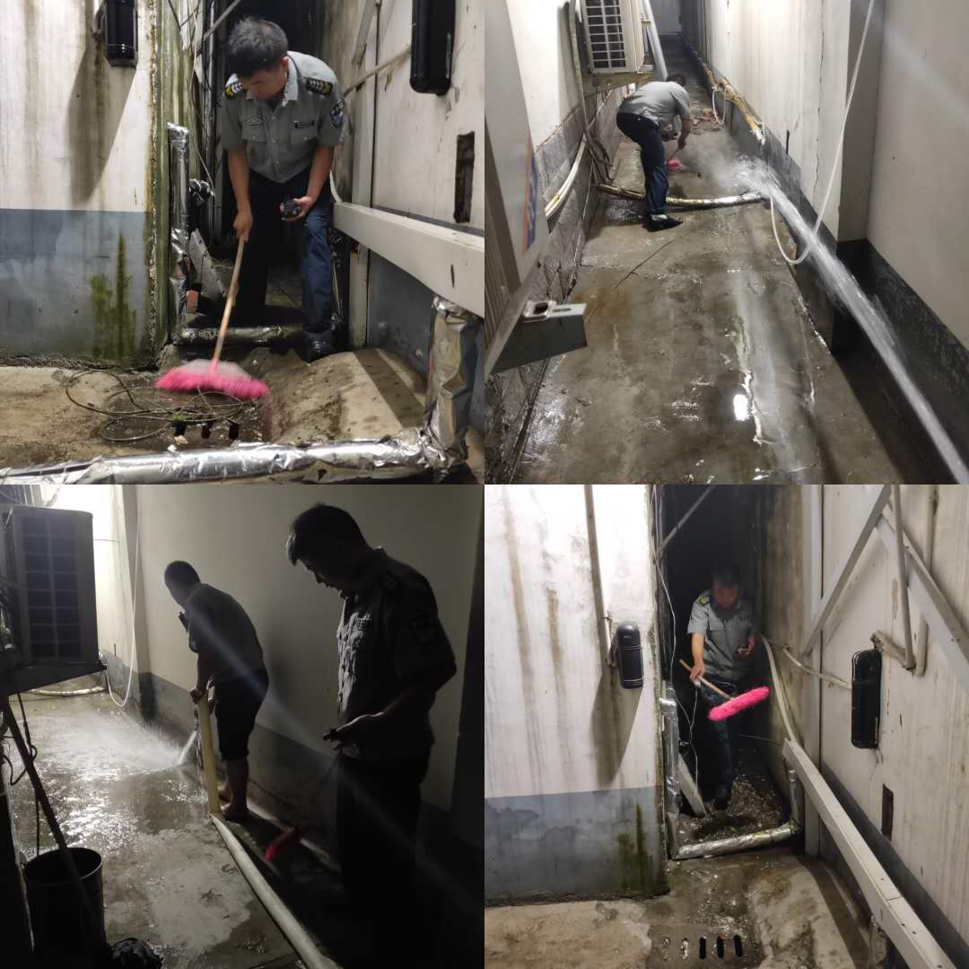 1600996806181210.jpg 1600996806181210.jpg