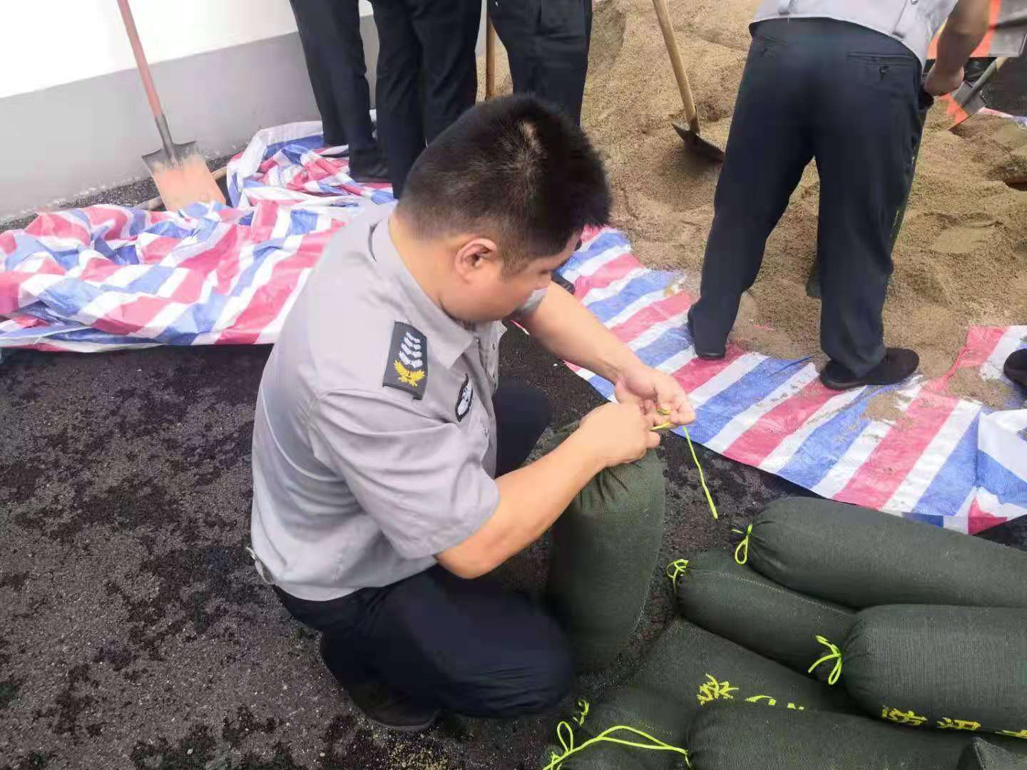 1627375347282844.jpg 1627375347282844.jpg