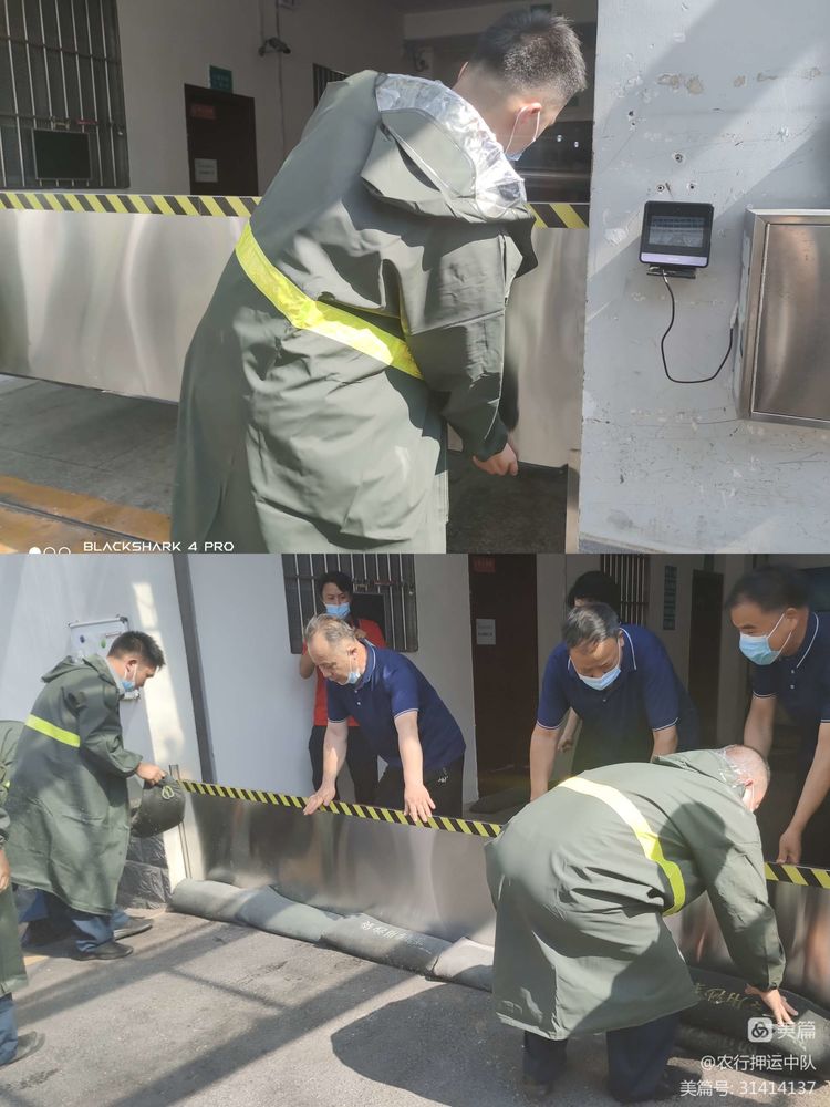 1655862559503312.jpg 1655862559503312.jpg