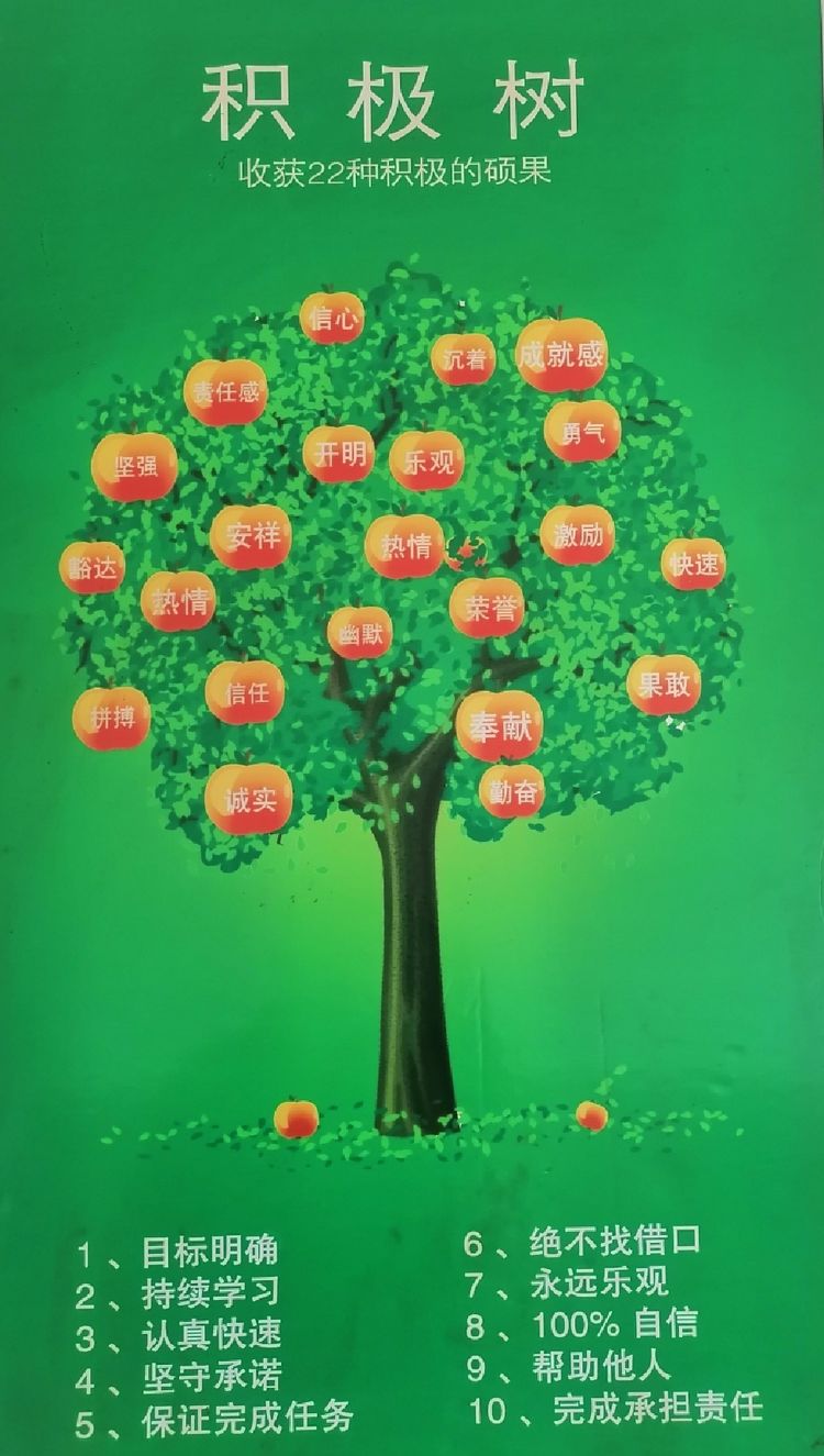 1668478746388108.jpg 1668478746388108.jpg