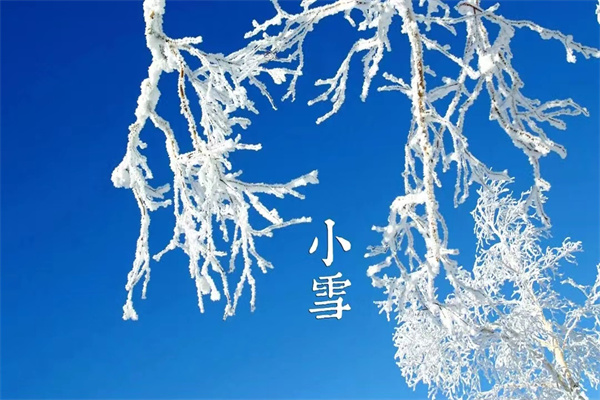 1669802948136051.jpg 寰俊剧_20221130173301.jpg