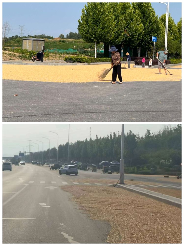 1695517055400333.jpg 1695517055400333.jpg