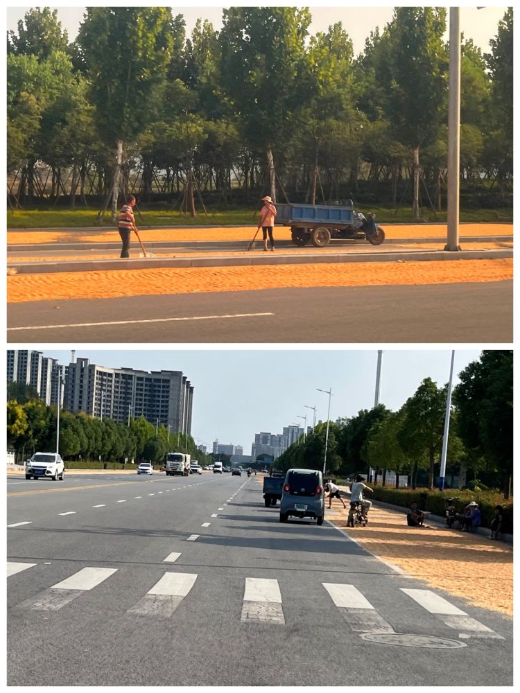 1695517074893697.jpg 1695517074893697.jpg