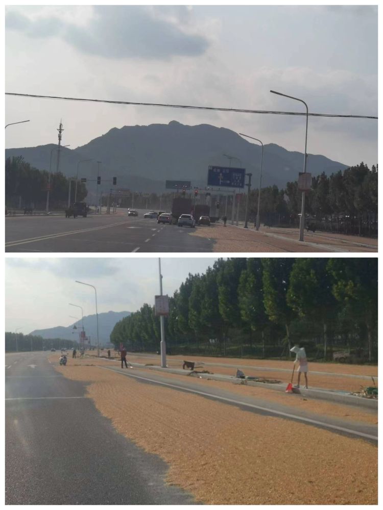 1695517127961587.jpg 1695517127961587.jpg