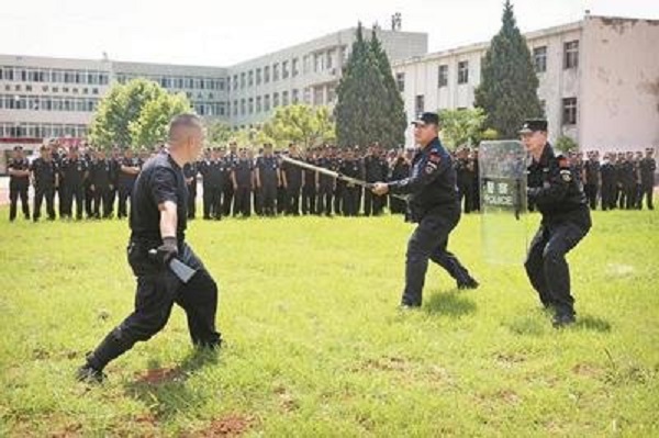 1696726583158877.jpg t0175e899b199d1fe21.jpg