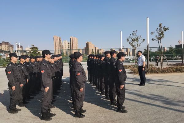 1697598572386900.jpg 2.jpg