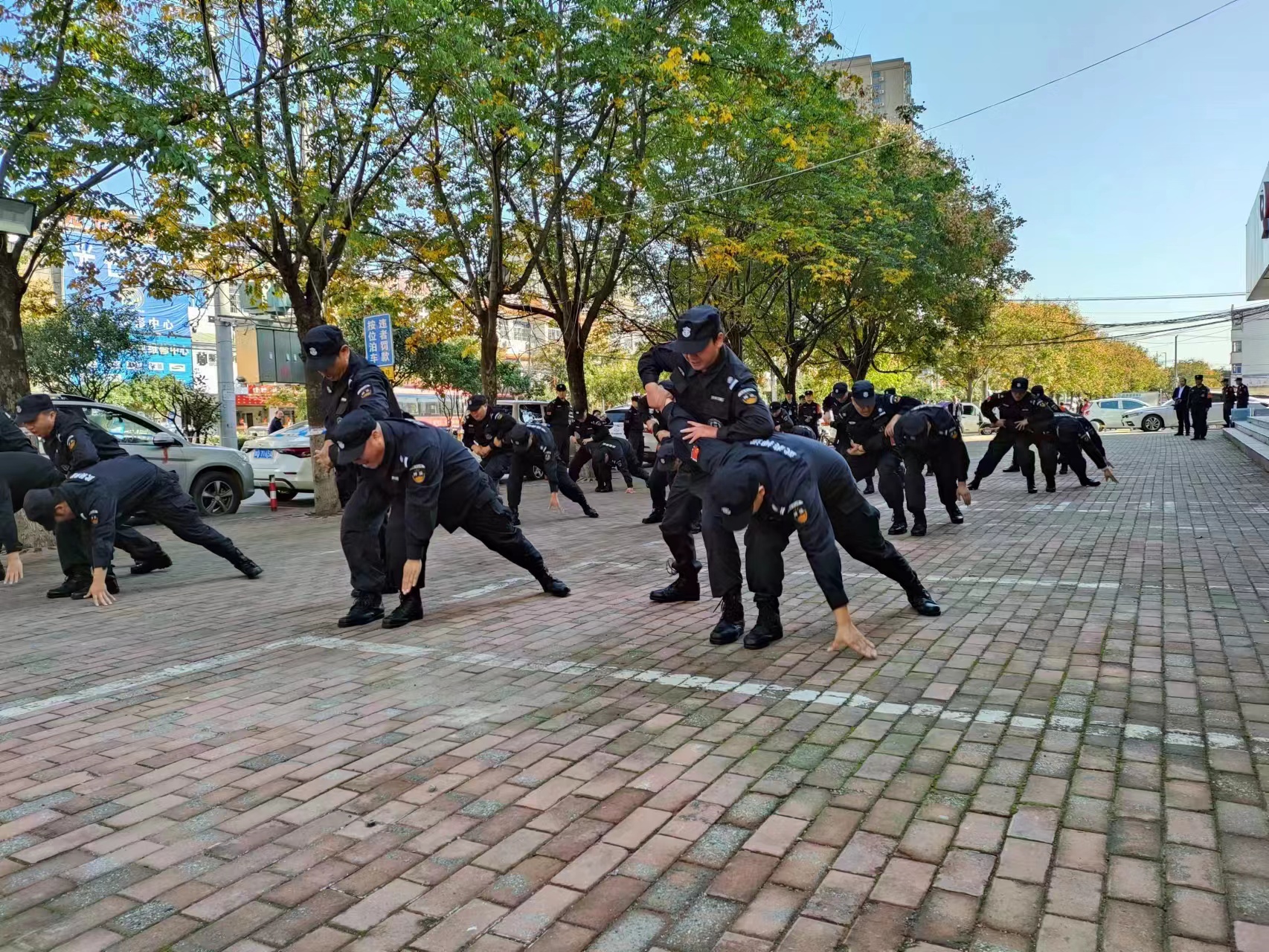 1699423675122941.jpg 1699423675122941.jpg