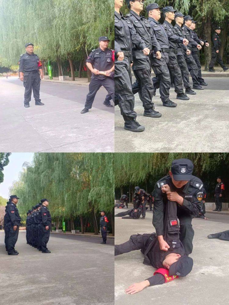 1703424196982879.jpg 1703424196982879.jpg