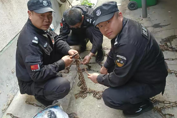 1731372440866732.png 1731372355567.png