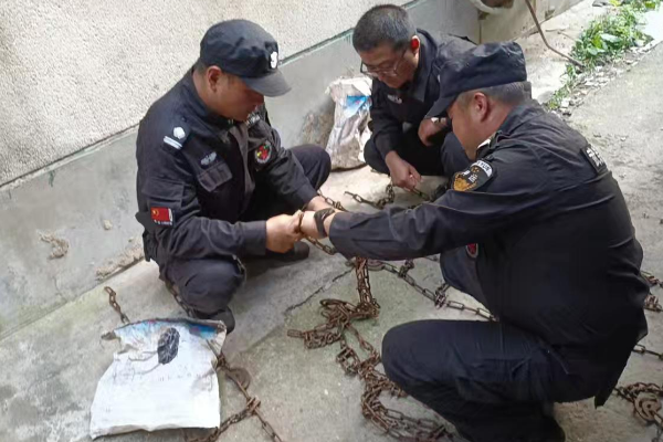 1731372460370299.png 1731371854171.png